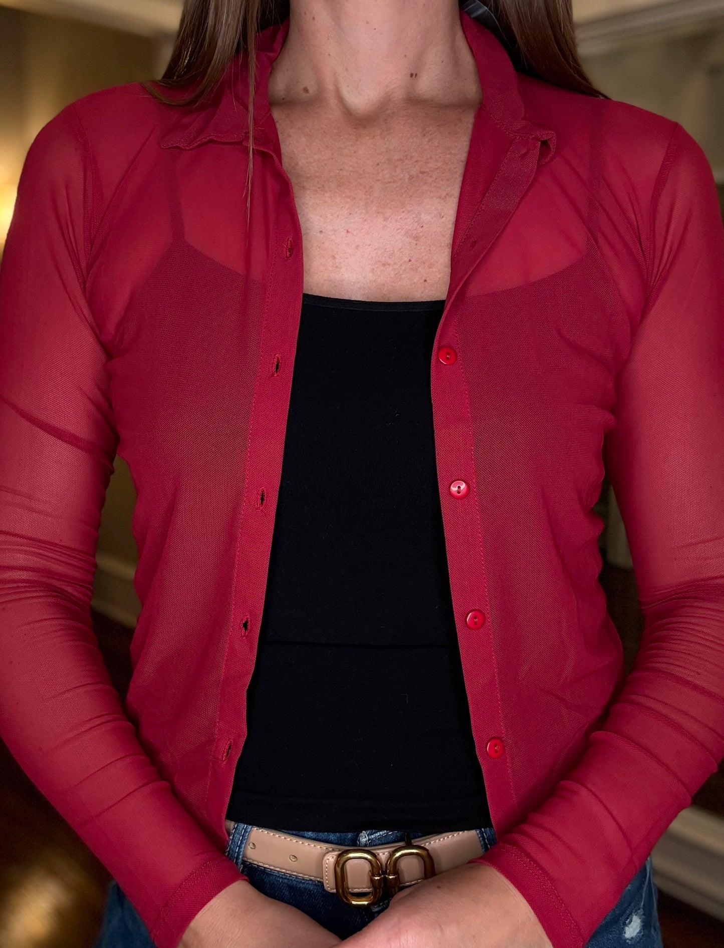 LONG SLEEVE MESH BUTTON DOWN TOP (multiple colors) 8.5