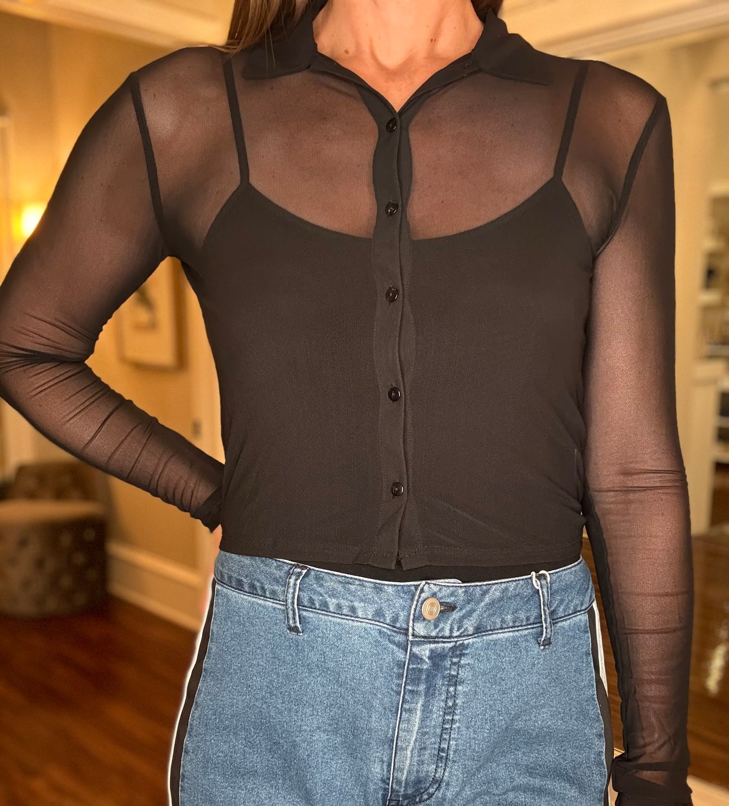 LONG SLEEVE MESH BUTTON DOWN TOP (multiple colors) 8.5