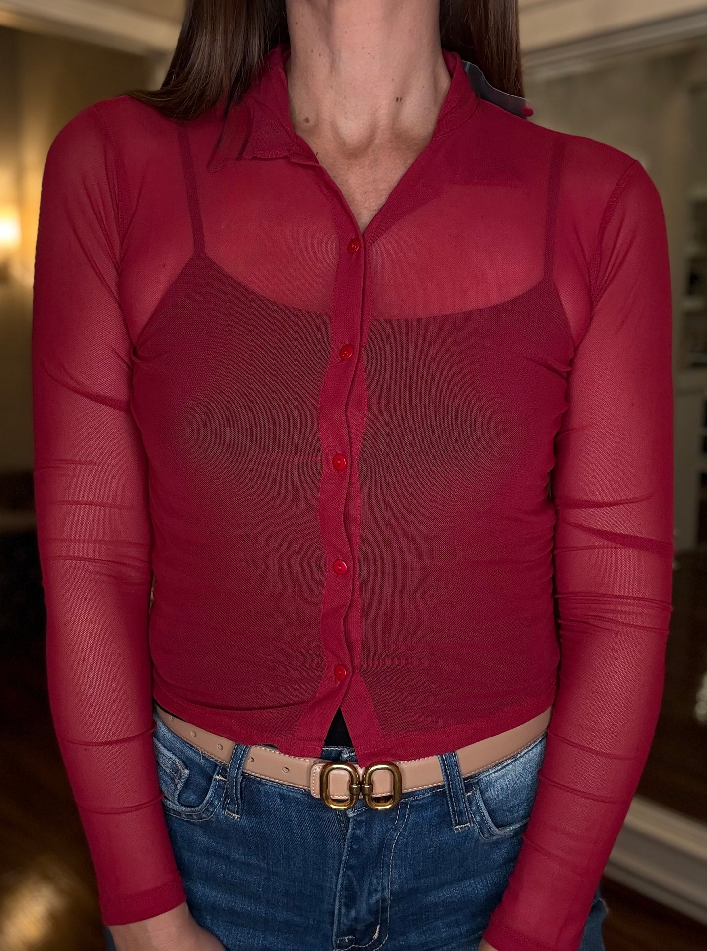 LONG SLEEVE MESH BUTTON DOWN TOP (multiple colors) 8.5